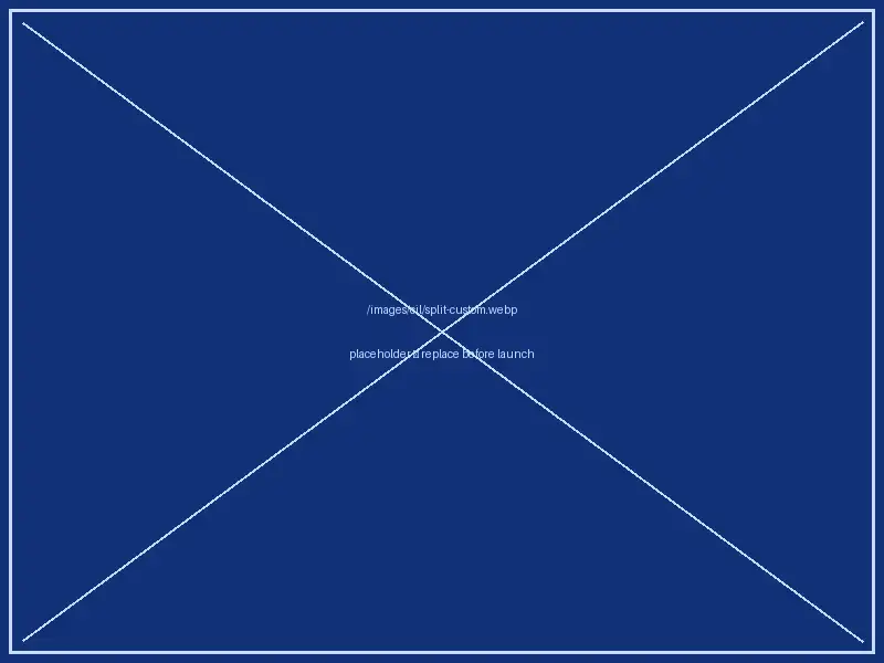 Custom optical setup engineering section
